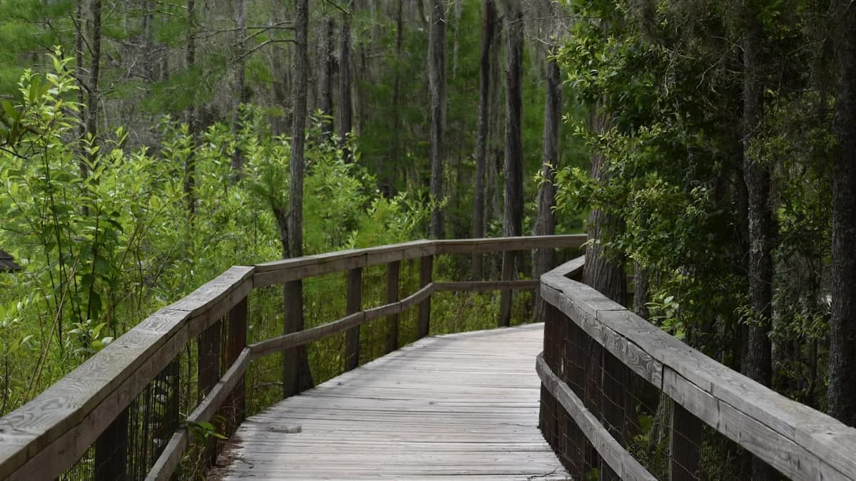 Valdosta