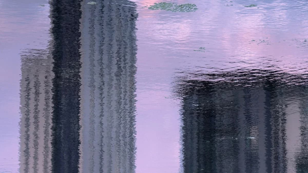 ليدز